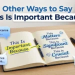 other ways to say this is important because