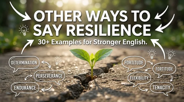 other ways to say resilience
